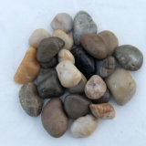 2-3cm Mixed Color Polished a Natural Cobble &Pebble Stone (SMC-PM011)