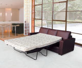Modern Sofa Bed (D23#)