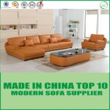 Modern Colllection Italian Genuine Leather Sofa for Living Room