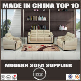 Office Modern Genuine Leather Sofa Combination 123 Sofa