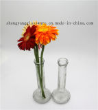 Free Sample Glass Vase/Home Decoration/Glassware