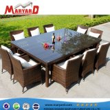 Factory Outdoor Leisure Furniture Wicker/Rattan Chairs & Dining Table