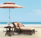 Outdoor /Rattan / Garden / Patio / Hotel Furniture Rattan Lounge Chair & Side Table Set (HS 1629CL& HS 1629ET)