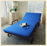 Functional Hospital Accompany Bed, Guest Folding Bed (190*100cm Blue)