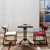 Fashion Restaurant Furniture Set with Wood Frame Chair and Retro Table (SP-CT786)