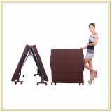 Bedroom Furniture/Metal Folding Bed with Mattress 190*80cm