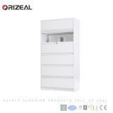Orizeal Office Furniture 6 Drawer Filing Cabinet Files, Stainless Steel Unique Office File Cabinet (OZ-OSC014)