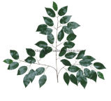 Artificial Plant Ficus Leaves for Wall Decorate
