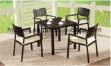 Outdoor /Rattan / Garden / Patio/ Hotel Furniture Polywood Furniture Chair& Table Set (HS 3001C&HS7108DT)