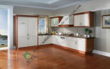 Solid Wood Kitchen Cabinet for Europe&American (zs-384)