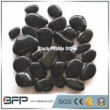 Natual Polished Black River Stone for Wall and Flooring