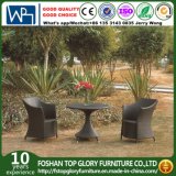 Outdoor Patio Rattan/Wicker Sofa Garden Furniture (TG-JW79)