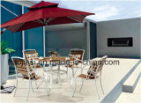 Outdoor Furniture / Garden Furniture/Patio Furniture / Hotel Furniture Polywood Chair &Table Set (HS 3025C&HS6316DT)