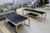 European Style Brush Golden Glass Top Coffee Table