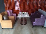 Restaurant Sofa and Table/Restaurant Furniture Sets/Hotel Furniture/Dining Room Furniture Sets/Dining Sets (NCHST-011)