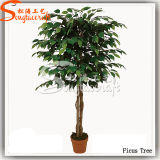 High Quality Artificial Ficus Plant Tree for Decoration (TH-21)