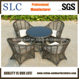 Outdoor Furniture Garden Furniture Set (SC-B8954)