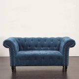 Two Seat Fabric Sofa with Nails and Buttons for Living Room
