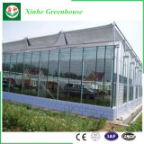 Garden Polycarbonate Glass Hollow and Solid Sheet Greenhouse