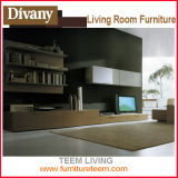 Divany Living Room Furniture Modern TV Combination Unit TV Cabinet