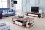Monden Natural Marble Table Top Furniture for Living Room 1046