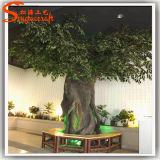 Artificial Fake Big Dry Ficus Banyan Tree for Decoration