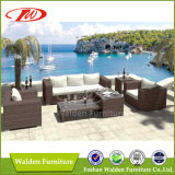 Weather Resistant Wicker Sofa Set (DH-6310)
