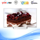 Low Price with USB DVD OEM Brand for 24 Inch LED TV