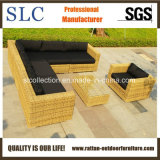 Artificial Rattan Furniture/Garden Rattan Sofa Set (SC-B6018-E2)