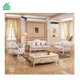 Custom-Made European Style Living Room Sofa Sets with Top Quality