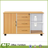 Supplier of Office Furniture Cabient CF-S10311