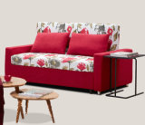 Love Seat Sofabed for Hotel Office Home Furniture