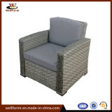 Leisure Deep Seating Sofa Garden Furniture (WF053303)