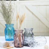 Glass Flower Vase for Home Decoration