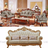 Living Room Sofa for Home Furniture (956A)