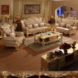 Luxury Home Sofa for Living Room Furniture (526)
