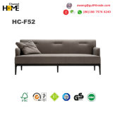 French Style Furniture Leisure Sofa Bed for Living Room Furniture/Bedroom/Home (HC-F52A)