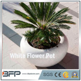 Polished White Stone Flower Pot/Vase for Garden Decoration/Landscape Project