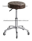 New Style Stool Salon Chair Master Chair for Factory Selling