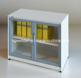 Glazed Swing Door File Cabinet (SV-SWG0735)