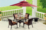 Outdoor /Rattan / Garden / Patio / Hotel Furniture Rattan Chair & Table Set (HS 1220C&HS 6601DT)