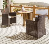 Outdoor Wicker Patio Furniture Balcony Rattan Hone Hotel Office Dining Chairs and Table (J375R)