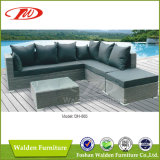 Outdoor Furniture Rattan Furniture Dh-865
