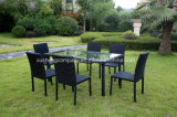 7 PCS of Steel Rattan Table+ Chair Set