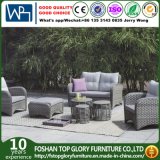 Rattan Garden Outdoor Artificial Wicker Sofa (TG-1396)