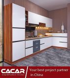 The Economic Kitchen Cabinets with Wood Panel