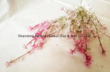 Artificial Flower for Christmas Decoration