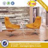 Hotel Chair / Hotel Furniture / Dining Chair / Banquet Chair (HX-SN8039)