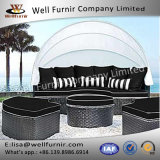 Well Furnir T-065 Contemporary Design Patio Daybed with Cushions