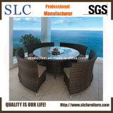 Rattan Hotel Furniture/Round Table/Round Table with Four Chairs (SC-B8917)